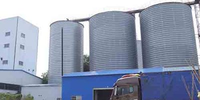 oat cone bottom silo sale