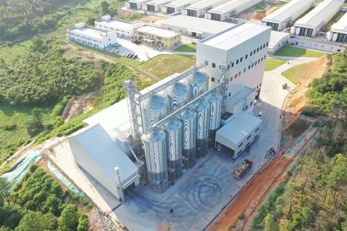 sunflower seed grain silo factory