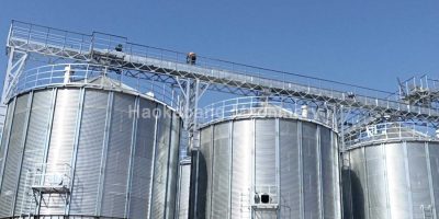 paddy grain silo supplier