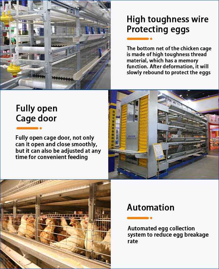 H type chicken layer cage